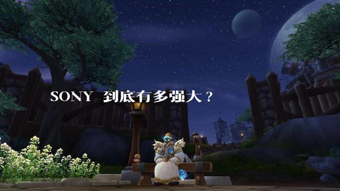 SONY 到底有多强大?