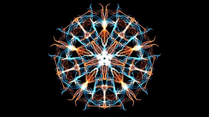 南京一森林公园现大量竹节虫，形似枯枝，网友称凑近才发现是虫子落荒而逃，竹节虫会不会咬人？碰到它会怎样？
